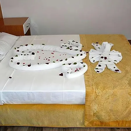 Anita Dream